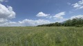 Продава ПАРЦЕЛ, град София, Суходол • 35000 € / 68454.05 лв. • 74094747 4
