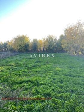 ������� ���� | Imot.bg � ����� ������ 8