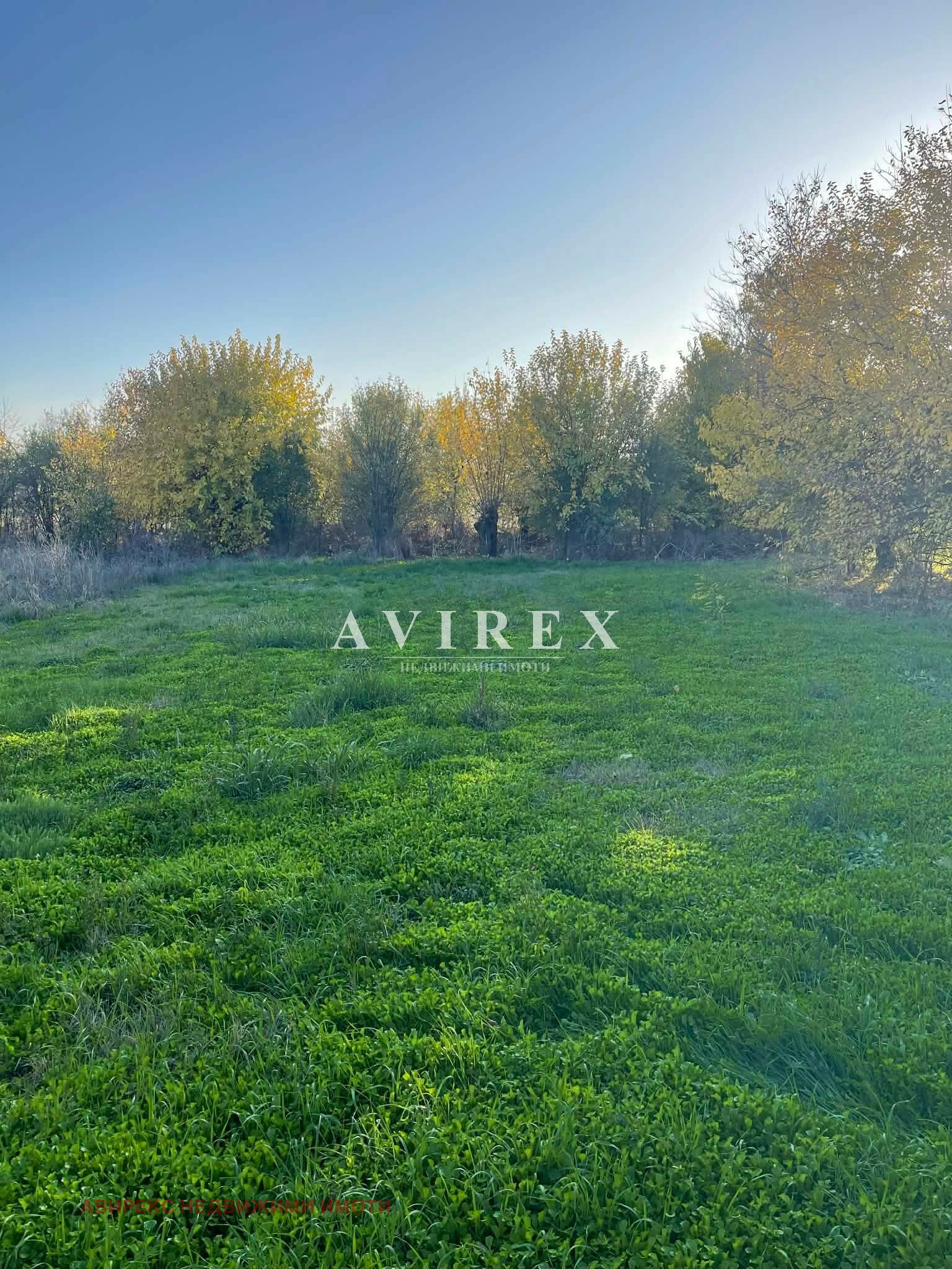 Продава КЪЩА, с. Бяла река, област Пловдив, снимка 10 - Къщи - 53741583