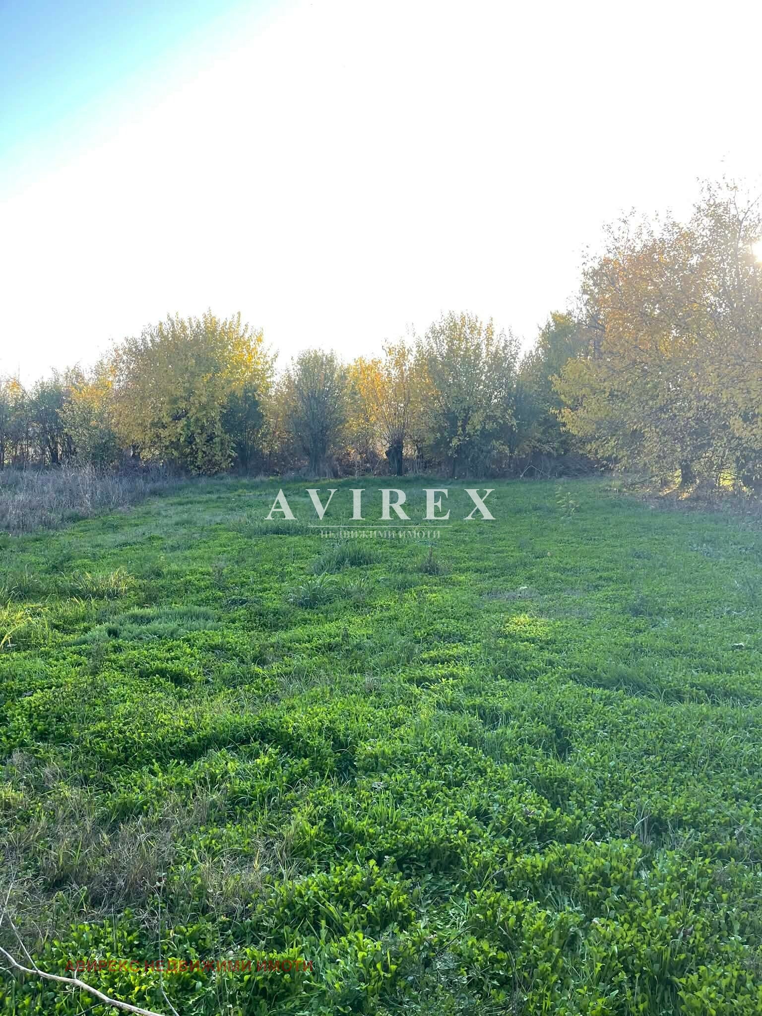 Продава КЪЩА, с. Бяла река, област Пловдив, снимка 8 - Къщи - 53741583