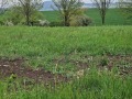 Продава ПАРЦЕЛ, гр. Брезник, област Перник, снимка 6