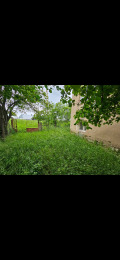 Продава КЪЩА, област Перник, с. Прибой • 65000 € • 74543302 — Holmes.bg