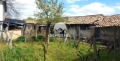 Продава КЪЩА, област Варна, гр. Девня • 85000 € • 37356989 — Holmes.bg