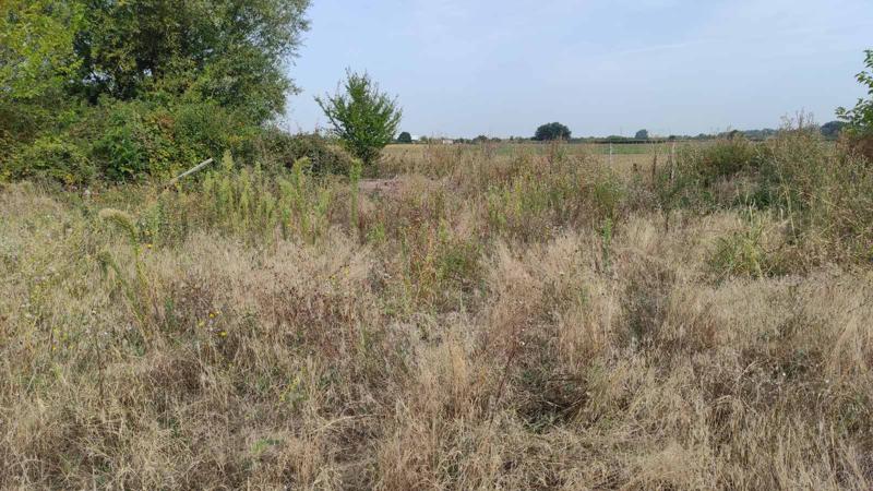 ������� ������ | Imot.bg � ����������� 3