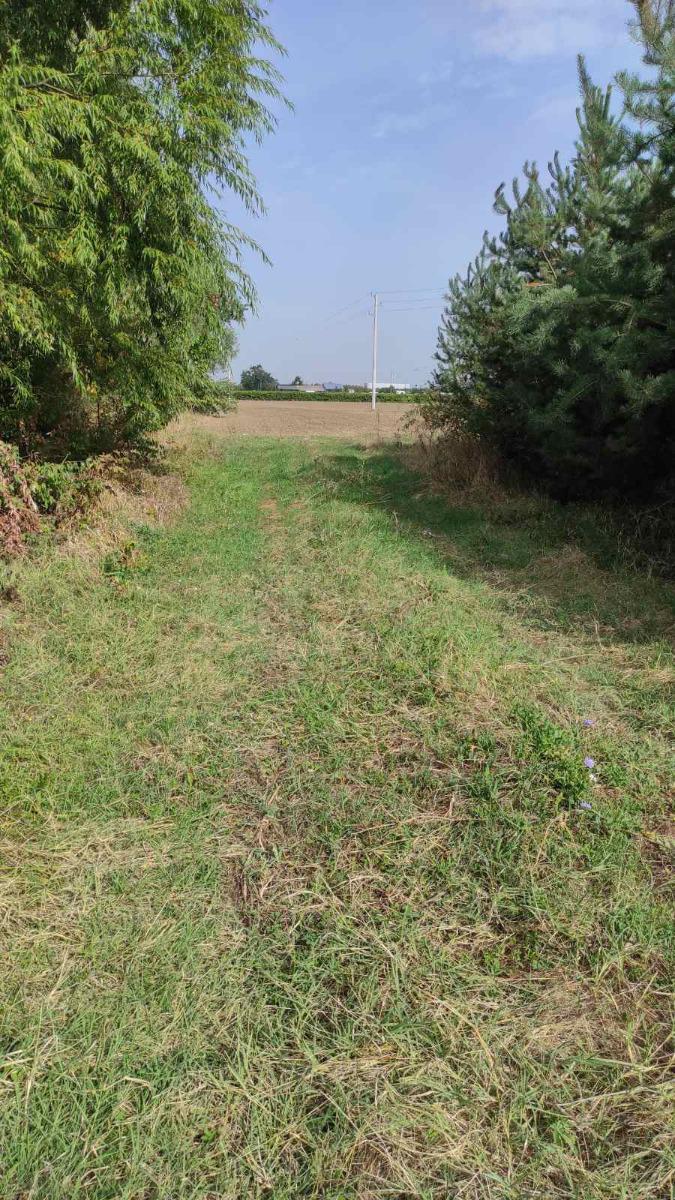 ������� ������ | Imot.bg � ����������� 4