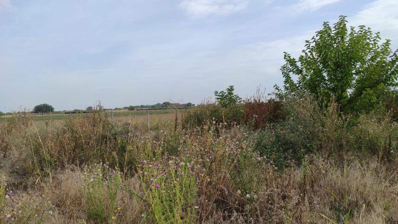 ������� ������ | Imot.bg � ����������� 5