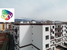 ����� ������� 4-�����,���� ������, �����