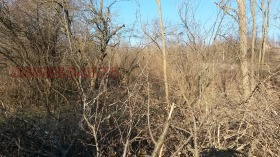 ������� ������ | Imot.bg � ����� ������ 3