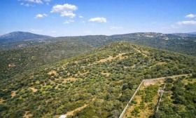 ������� ������ | Imot.bg � ����� ������ 17