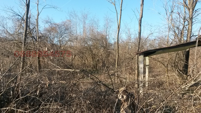Продава ПАРЦЕЛ, с. Щипско, област Варна, снимка 5 - Парцели - 52958509