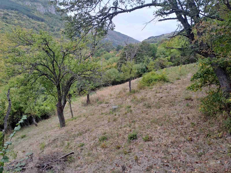 Til salgs  Plott region Sofia , Breze , 1510 kvm | 59614476 - bilde [2]
