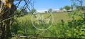 Продава ПАРЦЕЛ, с. Искър, област Варна, снимка 2