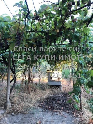 ������� ���� | Imot.bg � ����������� 11