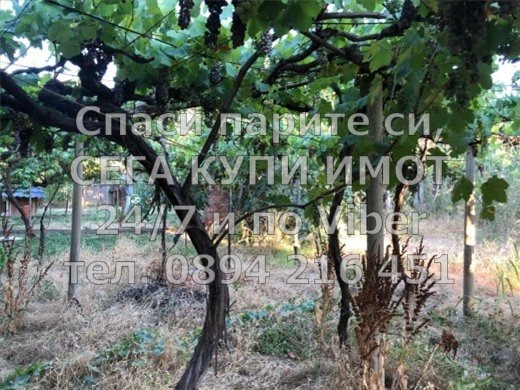 ������� ���� | Imot.bg � ����������� 13