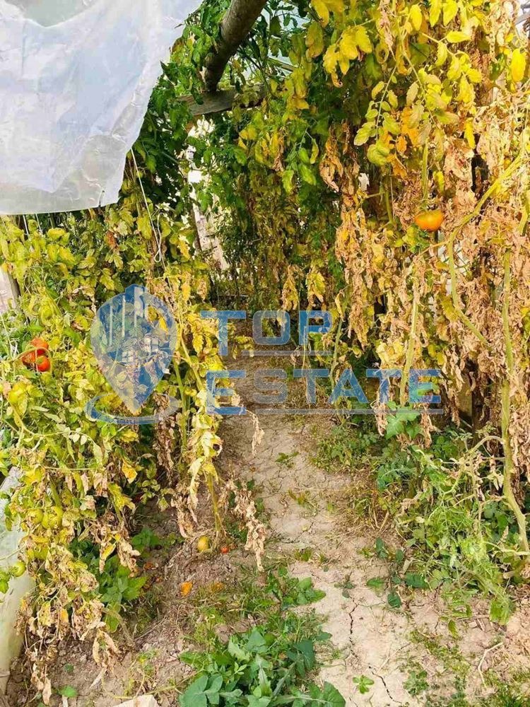 Продава КЪЩА, с. Камен, област Велико Търново, снимка 14 - Къщи - 48442678