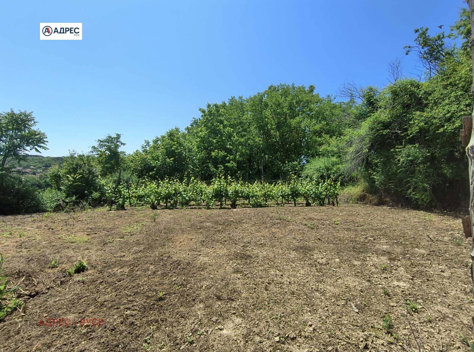 Продава КЪЩА, с. Пиргово, област Русе, снимка 14 - Къщи - 54712931