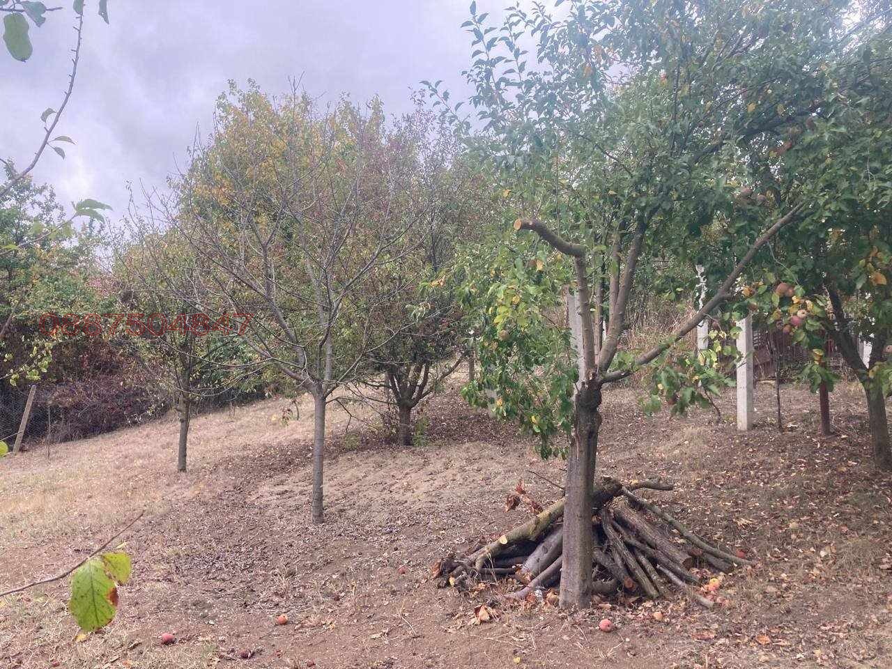 Продава ВИЛА, гр. Велико Търново, м-т Козлуджа, снимка 13 - Вили - 53851867