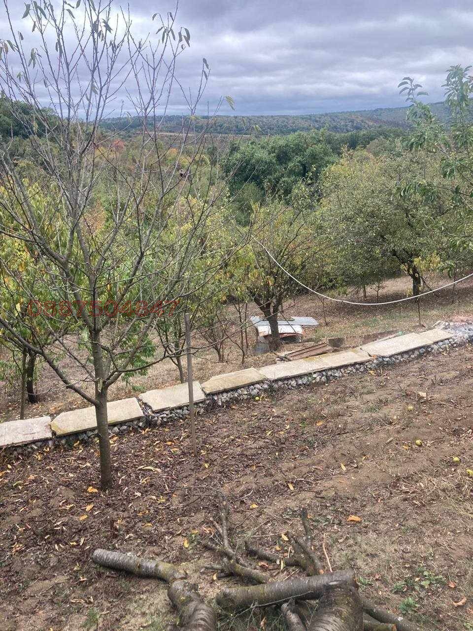 Продава ВИЛА, гр. Велико Търново, м-т Козлуджа, снимка 12 - Вили - 53851867