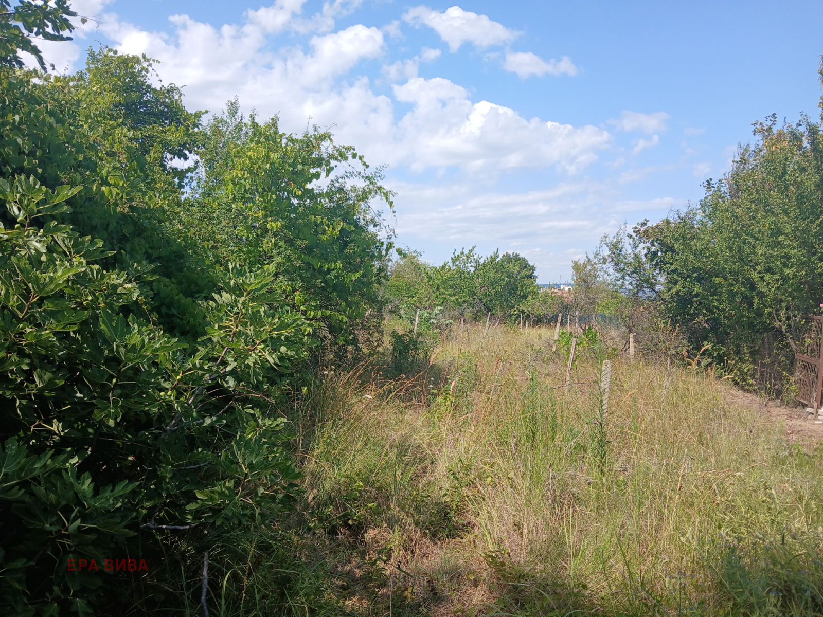 Продава ПАРЦЕЛ, гр. Варна, м-т Прибой, снимка 6 - Парцели - 54537878