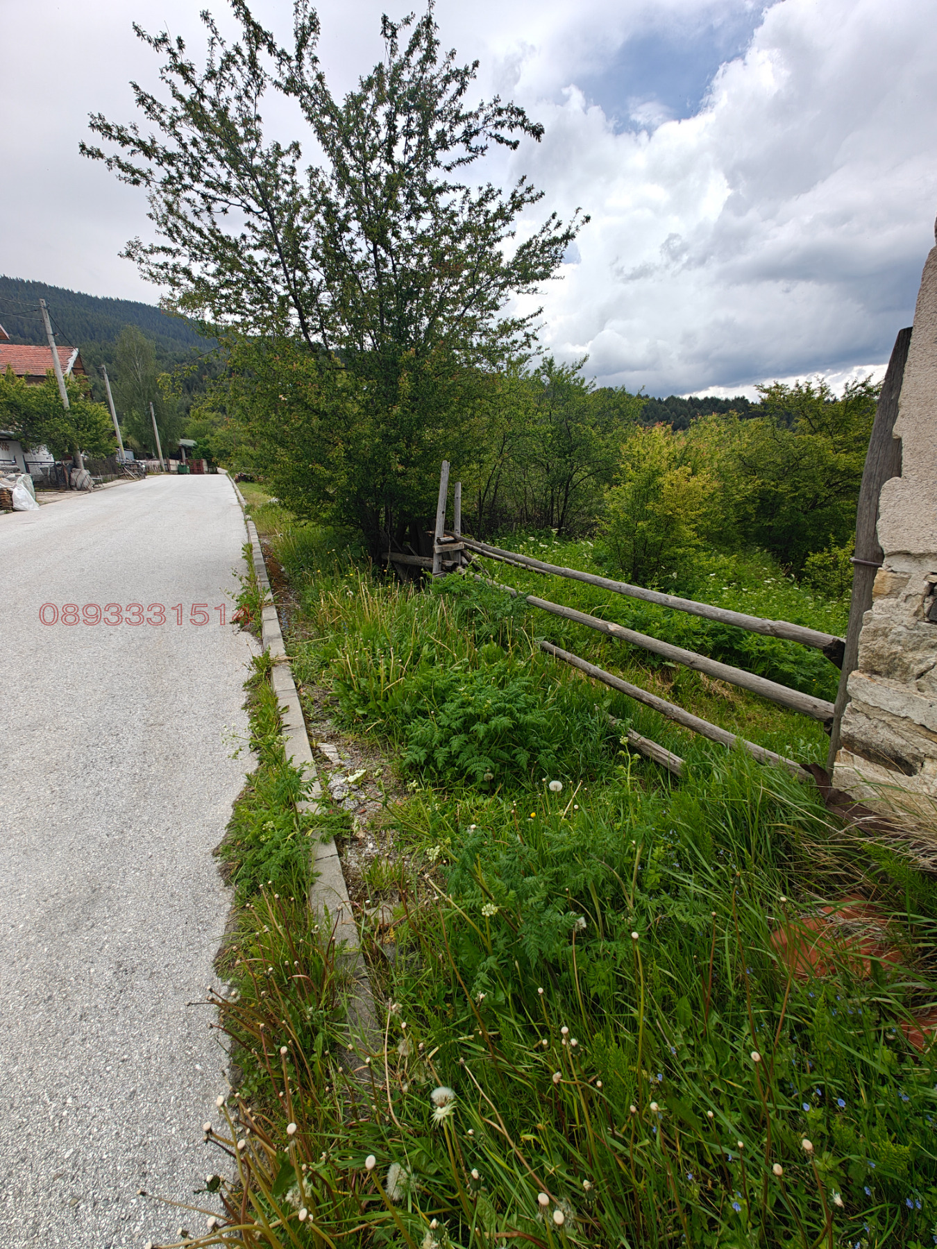 Продава ПАРЦЕЛ, гр. Сърница, област Пазарджик, снимка 4 - Парцели - 55332482