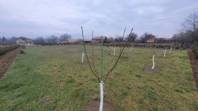 ������� ���� | Imot.bg � ����� ������ 7