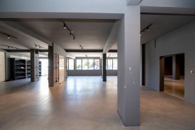 ����� ������� �������,���� ��������, �����������