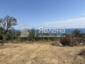 Продава ПАРЦЕЛ, град Варна, м-т Прибой • 70000 € • 77631116 — Holmes.bg