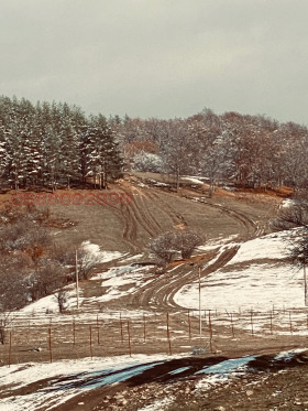 ������� ������ | Imot.bg � ����� ������ 2