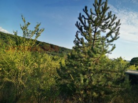 ������� ������ | Imot.bg � ����� ������ 4