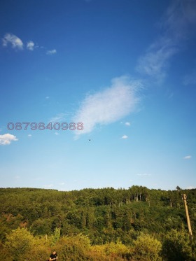 ������� ������ | Imot.bg � ����� ������ 7