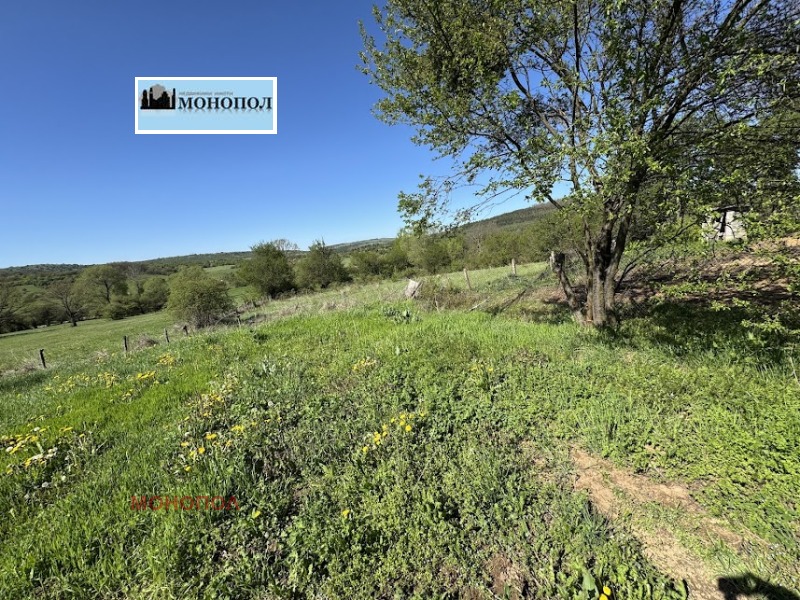 For Sale  Plot region Sofia , Dramsha , 1321 sq.m | 17092754 - image [5]