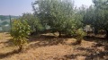 Продава ПАРЦЕЛ, гр. Стара Загора, Студентско градче, снимка 11