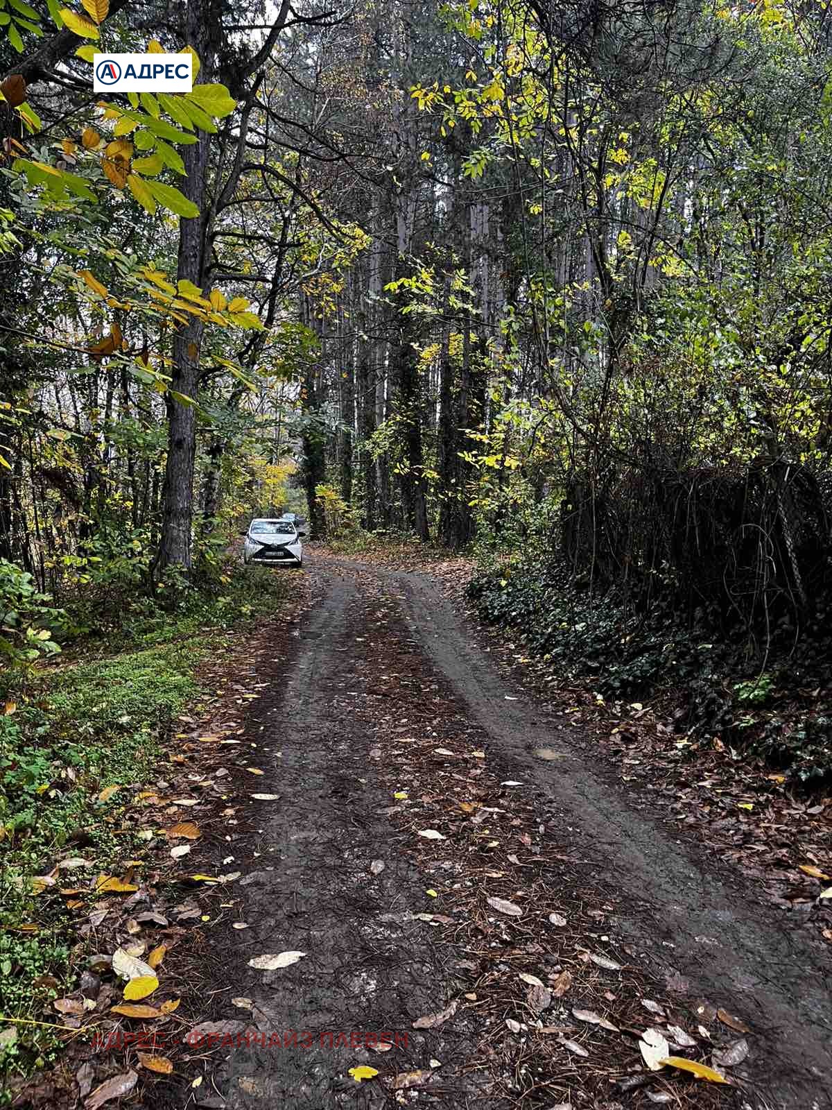 ������� ������ | Imot.bg � ����������� 3