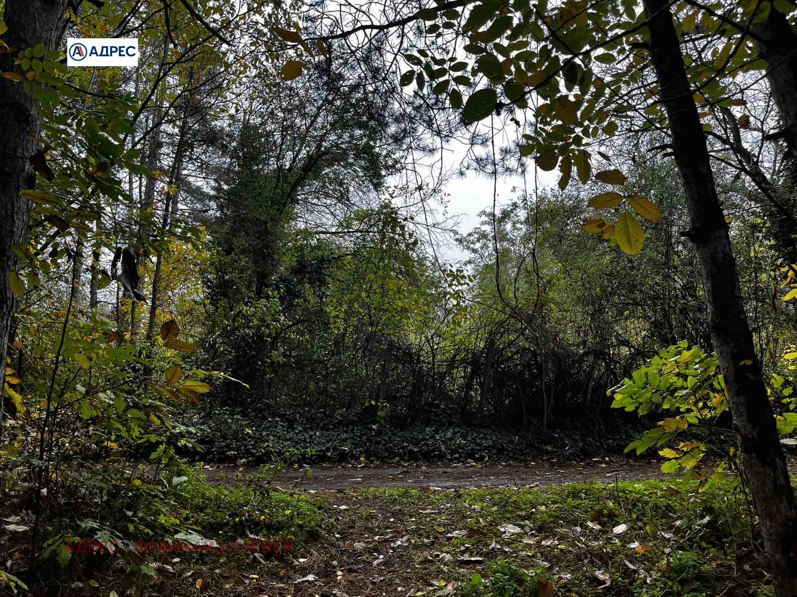 ������� ������ | Imot.bg � ����������� 6