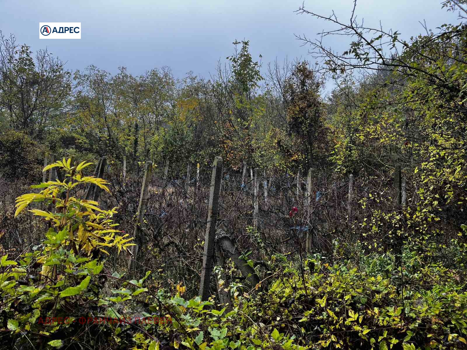 ������� ������ | Imot.bg � ����������� 8