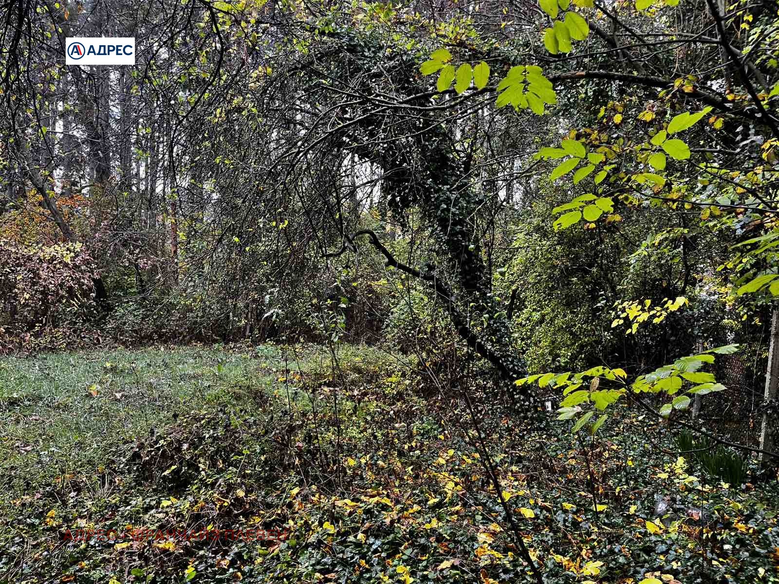 ������� ������ | Imot.bg � ����������� 5