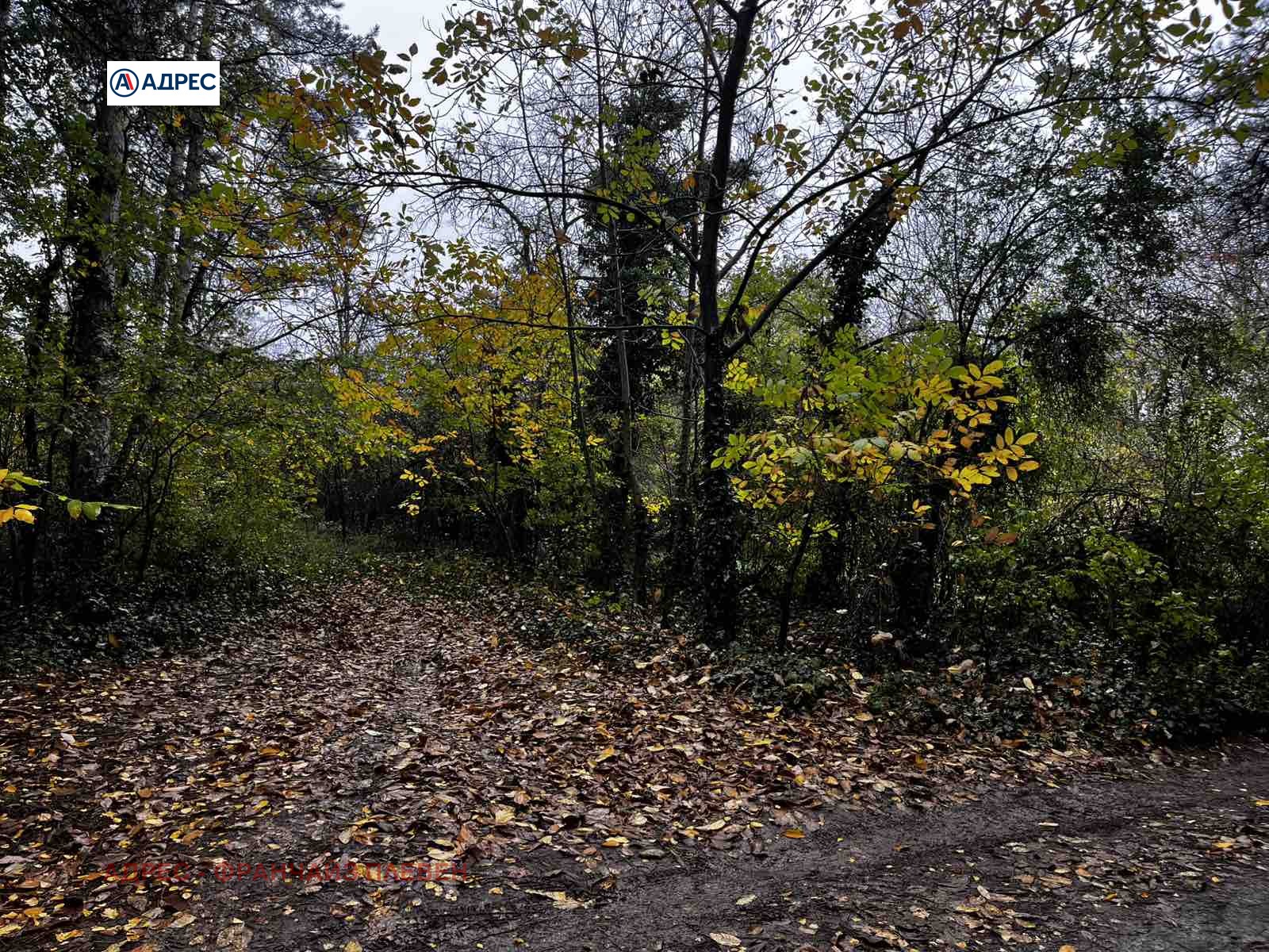 ������� ������ | Imot.bg � ����������� 2