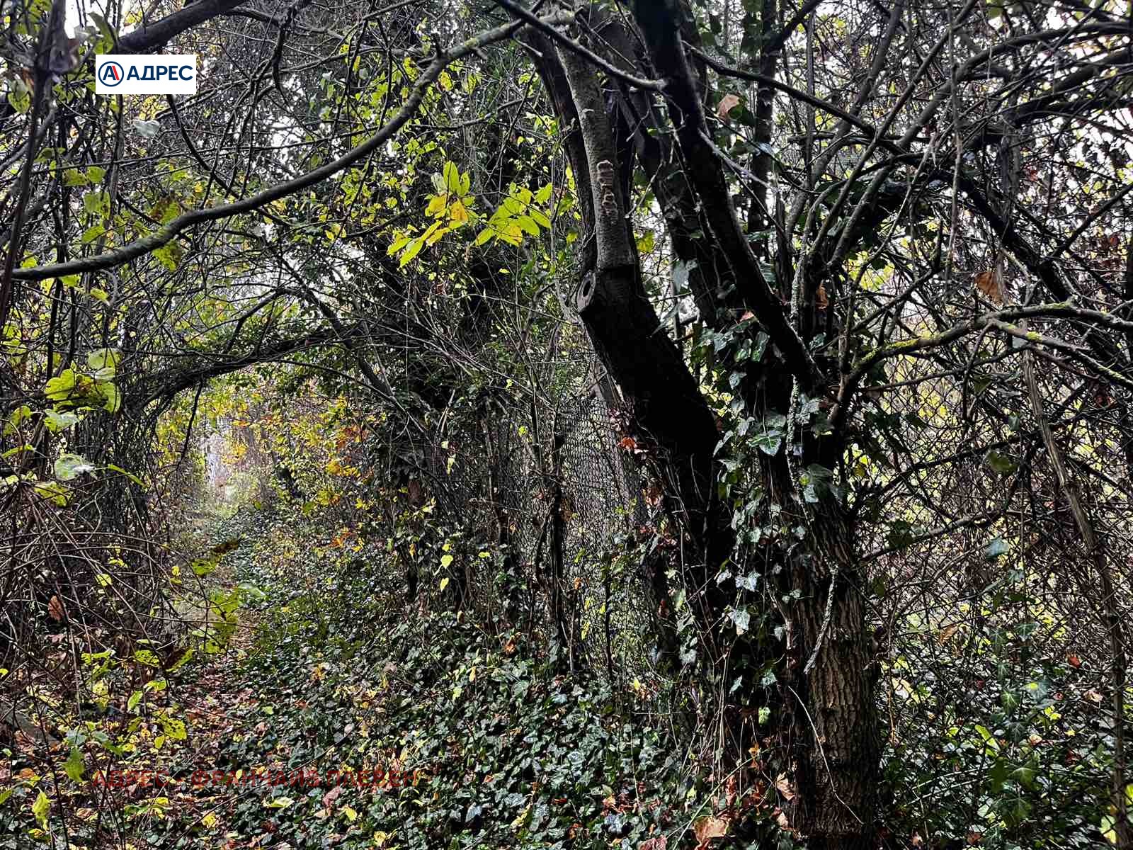 ������� ������ | Imot.bg � ����������� 9