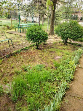 ������� ���� | Imot.bg � ����� ������ 8