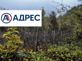 ������� ������ | Imot.bg � ����� ������ 8