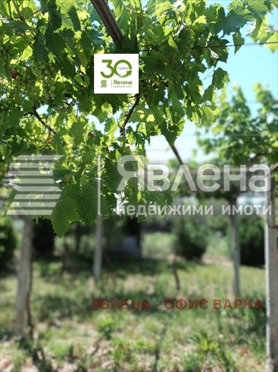 For Sale  House region Varna , Vetrino , 120 sq.m | 50079492 - image [7]