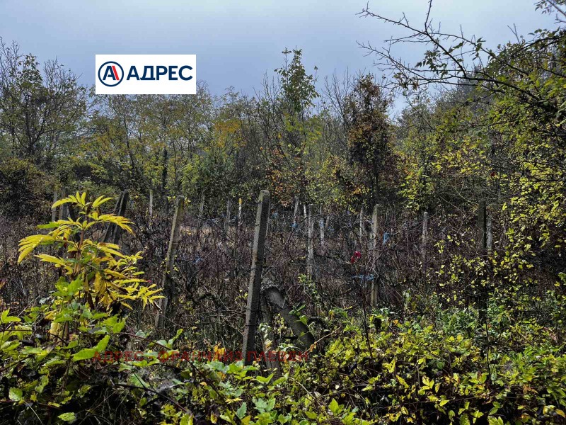 Продава ПАРЦЕЛ, гр. Плевен, Кайлъка, снимка 8 - Парцели - 53438022