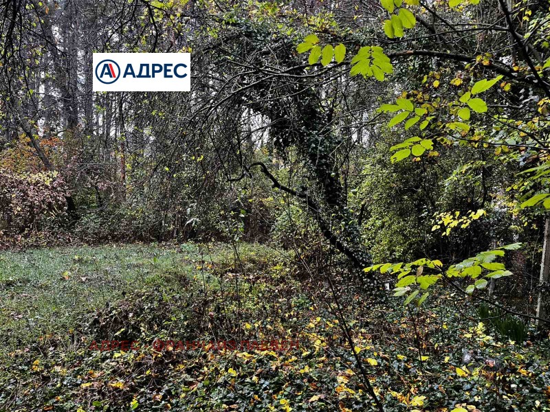 Продава ПАРЦЕЛ, гр. Плевен, Кайлъка, снимка 5 - Парцели - 53438022