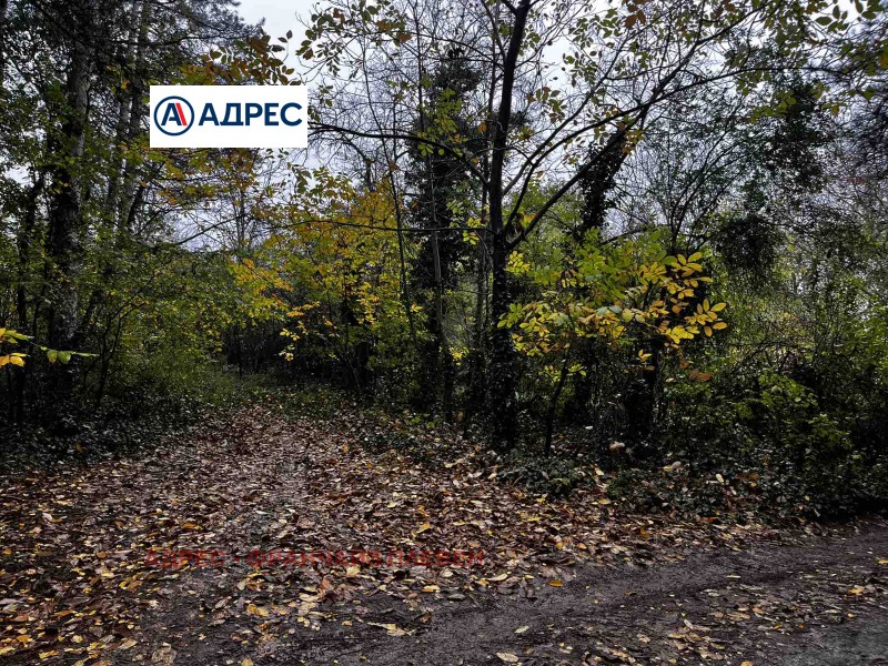 Продава ПАРЦЕЛ, гр. Плевен, Кайлъка, снимка 2 - Парцели - 53438022