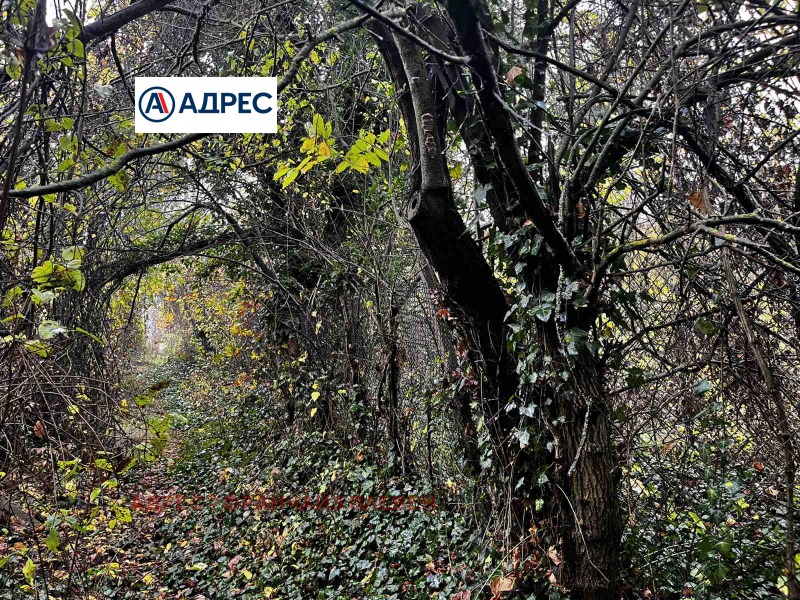 Продава ПАРЦЕЛ, гр. Плевен, Кайлъка, снимка 9 - Парцели - 53438022