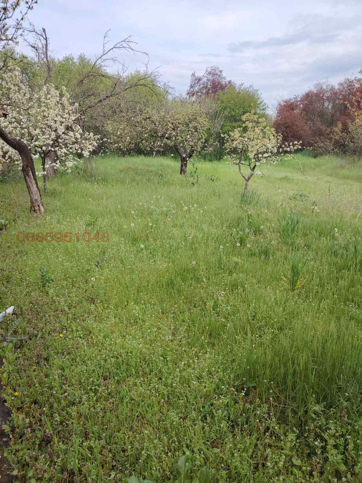 Продава КЪЩА, с. Медово, област Стара Загора, снимка 11 - Къщи - 54271891