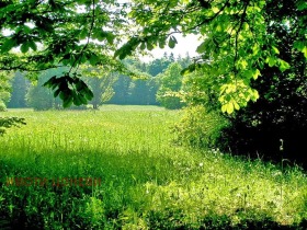 Cselekmény Gurkovo, régió Stara Zagora 1