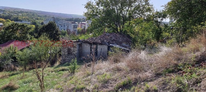 Продава КЪЩА, гр. Разград, Абитрус, снимка 5 - Къщи - 52784009