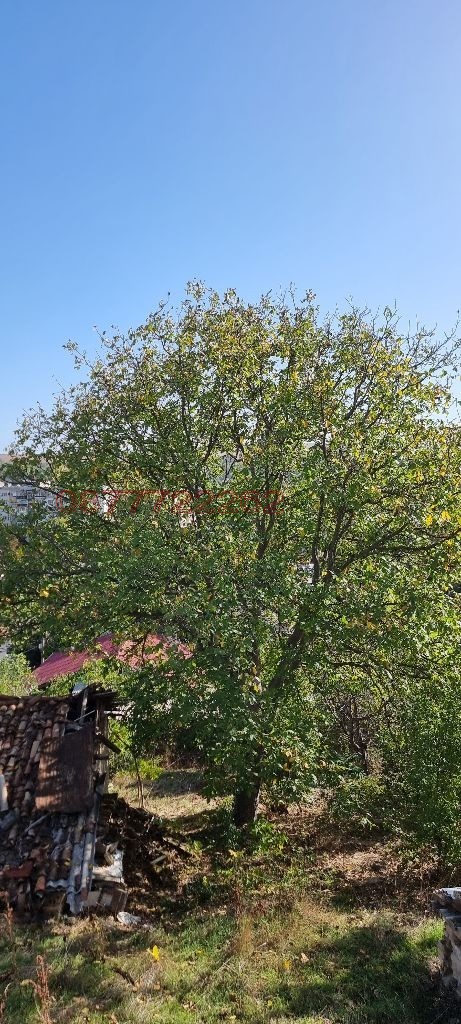 Продава КЪЩА, гр. Разград, Абитрус, снимка 6 - Къщи - 52784009