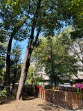 Продава 2-СТАЕН, град София, Илинден • 170000 € • 69504542 — Holmes.bg